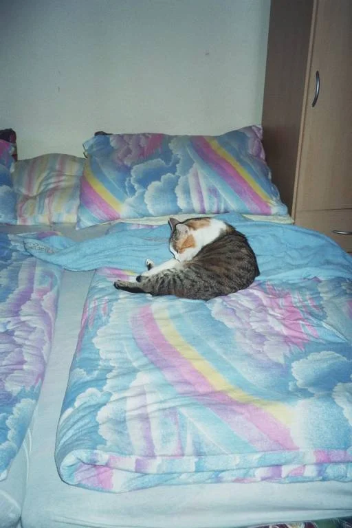 LUNA  schläft am liebsten im Bett