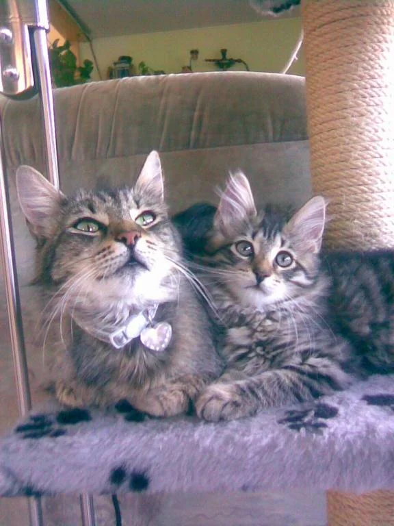 Mamma Cleopatra mit Tochter Gina