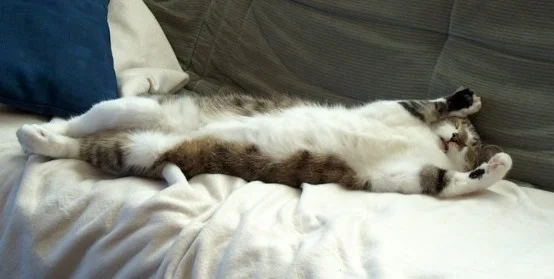 man lässt sichs gut gehen