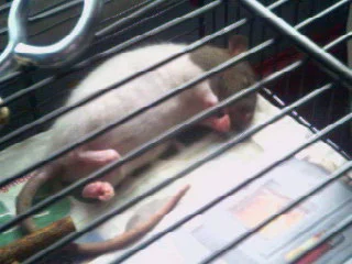 Mandy's tolle Schlafpositionen