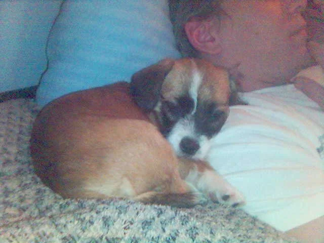 Mann oh Mann, ist das gemütlich ... *schnarch*