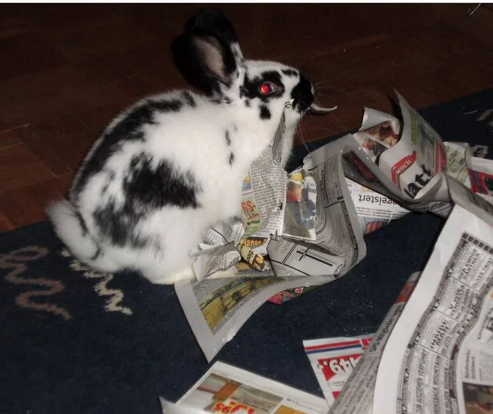 Marlon hat genug gelesen...