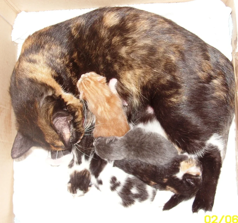 Mausi und ihr Glück - am 3. Tag