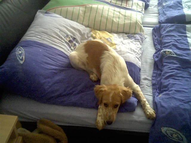 Maya will heia machen :-)