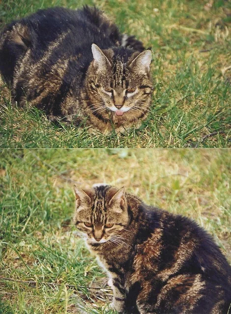 Mdme DuMeTe und ihr Sohn