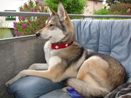 Mein Balkon, mein Garten, mein Sessel!