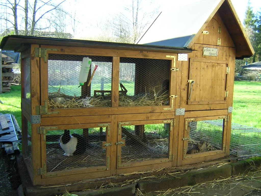 ...mein kleiner Rocco  15.2.07