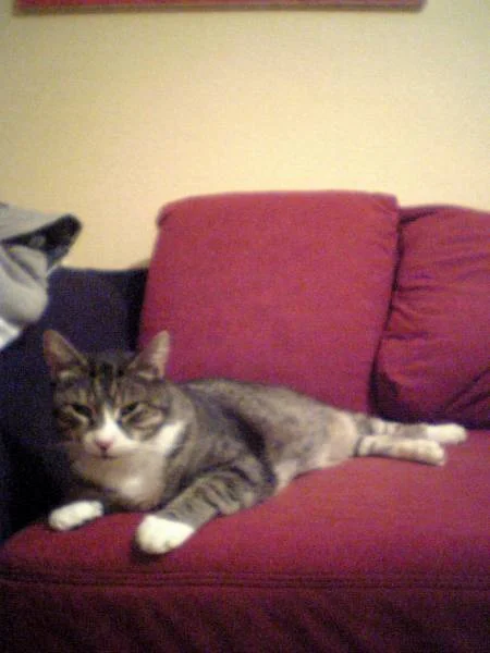 Mein Letztes Foto von Chicco