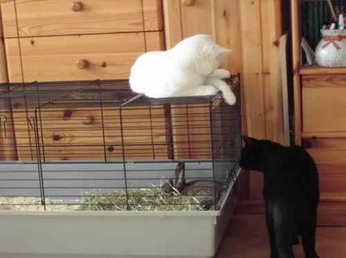 Mein neuer Schlafplatz