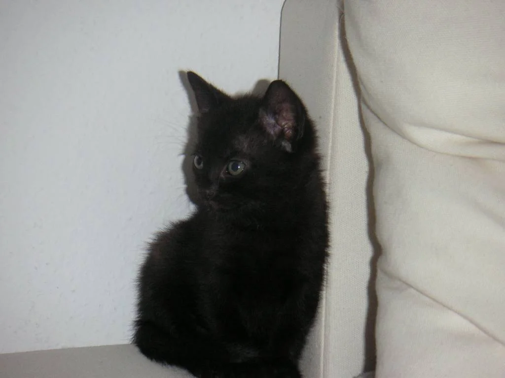 Mein Whisky!! Heute eingezogen :-)