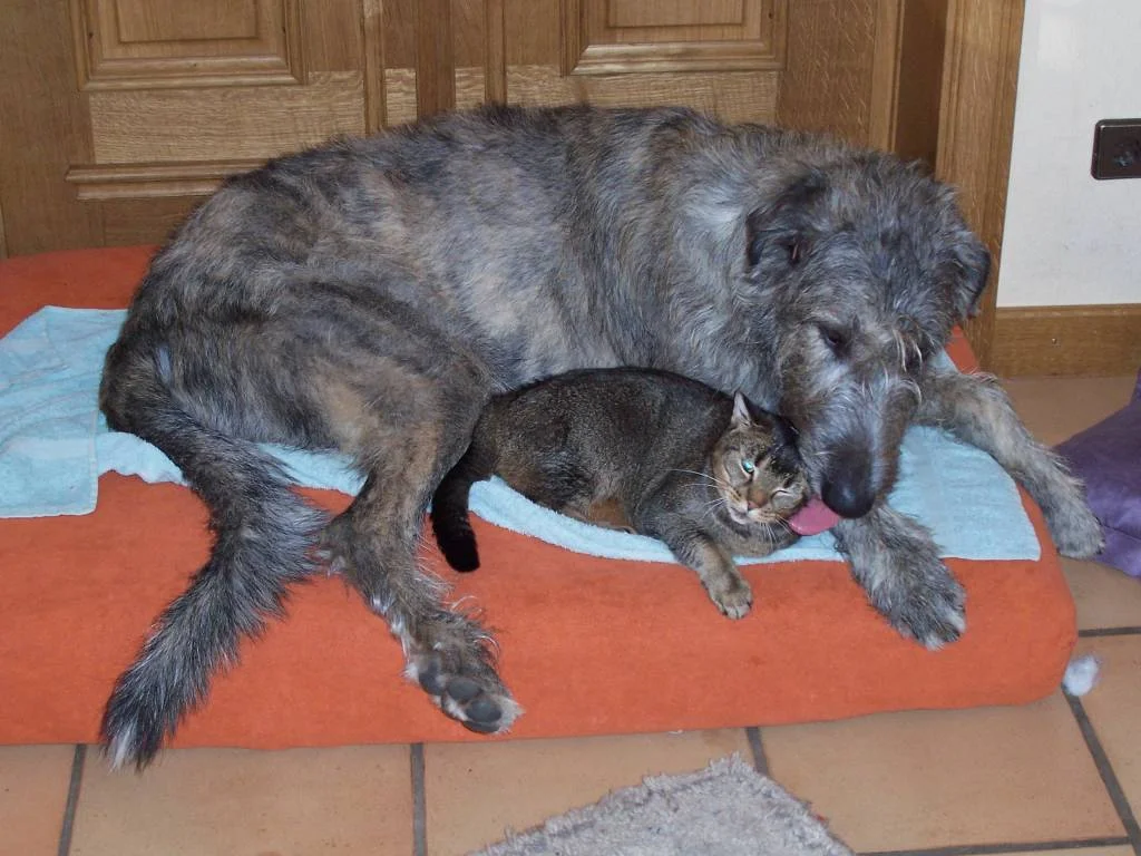 Meine Freundin und ich