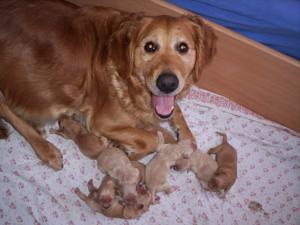 Meine Mami und ich - da war ich noch sehr klein