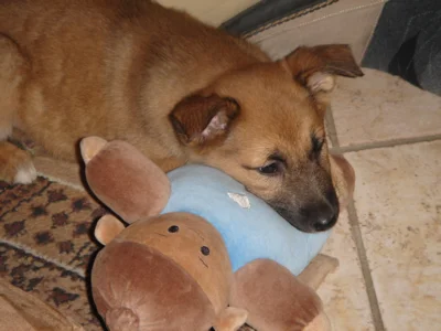 Meine Puppe Joschi ist soooo weich, richtig zum einmützen!!!