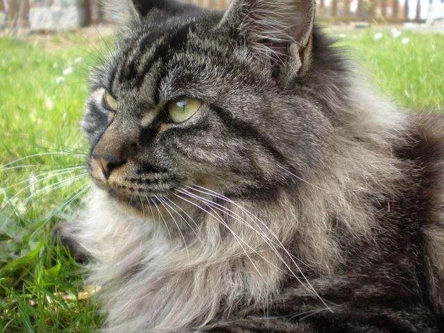 mich bringt nix aus der ruhe...