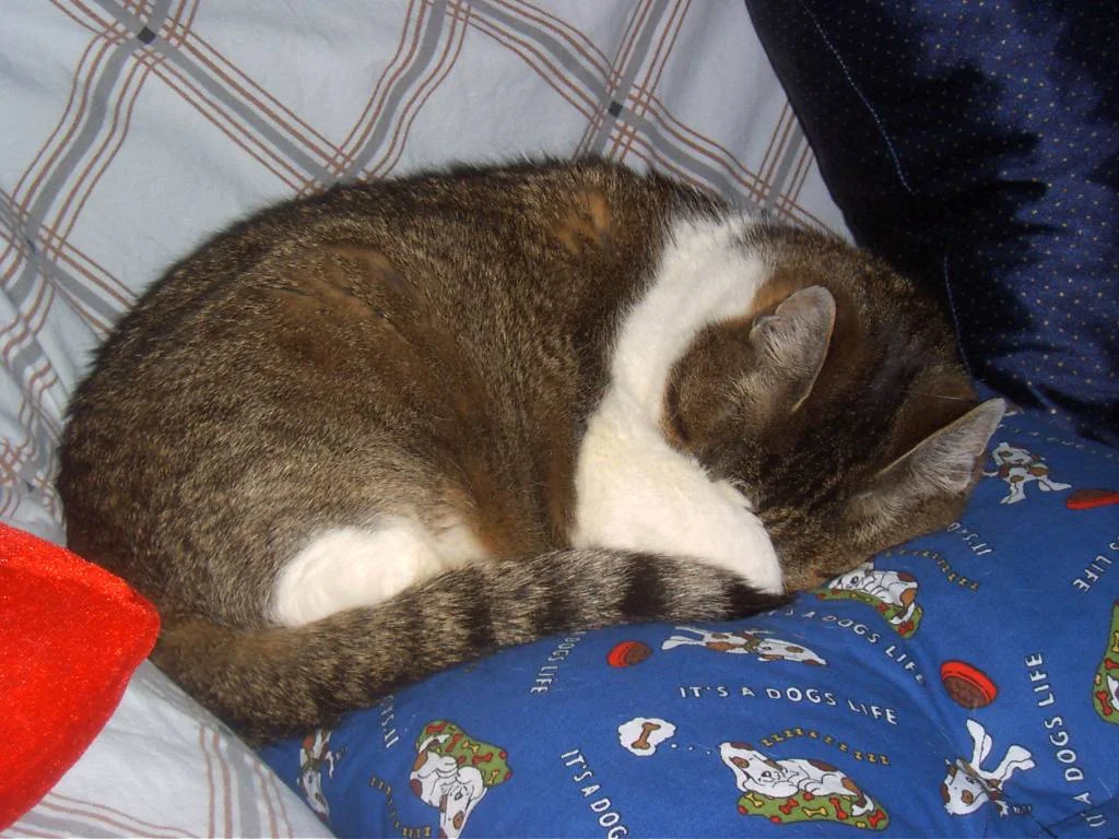 minki beim einschauen