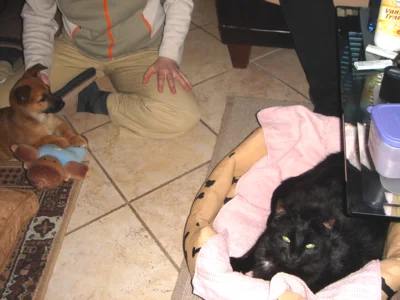 Mit dem riesigen schwarzen Teil würd ich so gern spielen!