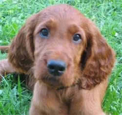 Mit diesem Blick bekomm ich   A L L E S ...