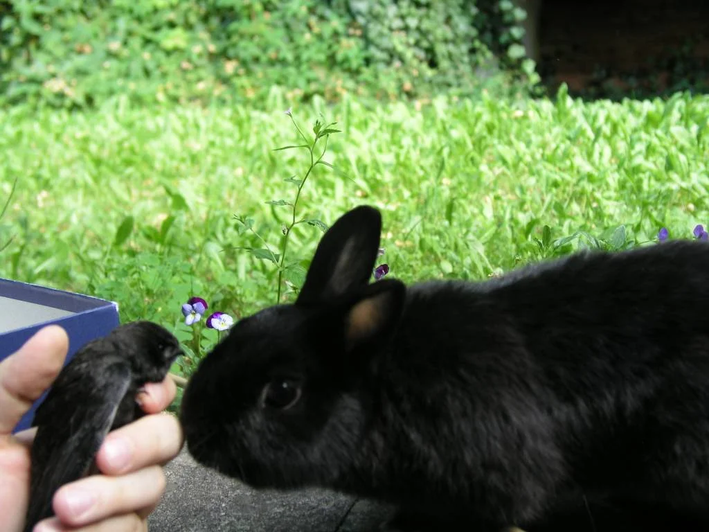 Möchte gerne kenenn lernen
