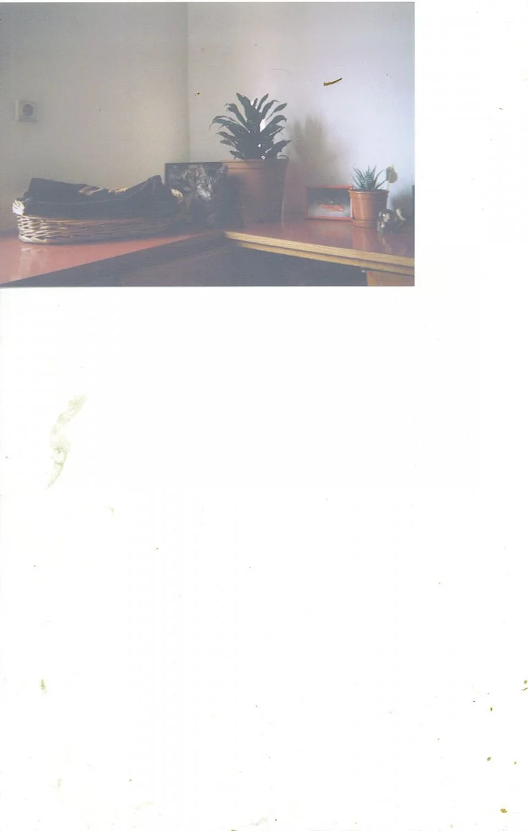 mona neues haus 2015.jpg