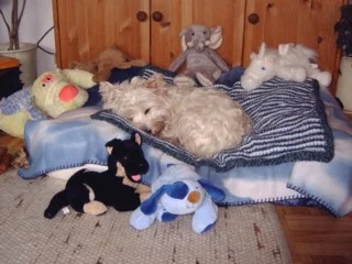 Müde vom Geburtstag feiern