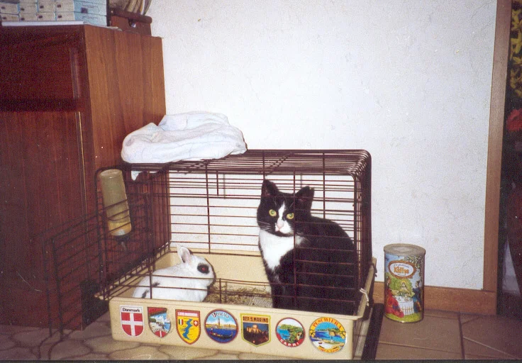 Mümmy & Mikki   1993.jpg