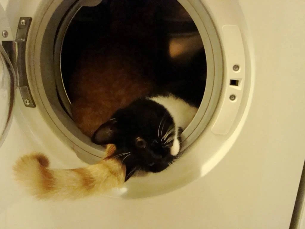 muss da noch was hinein