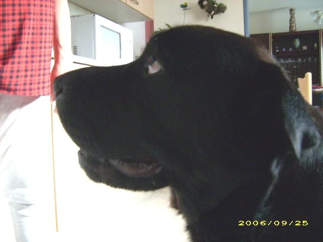 na geh fällt da nix für mich ab