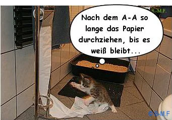 NACH dem KaKlo Hintern putzen!