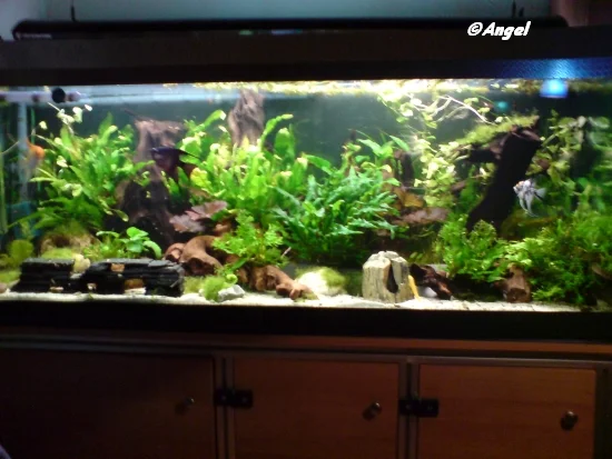 Nach neu gestaltung.jpg