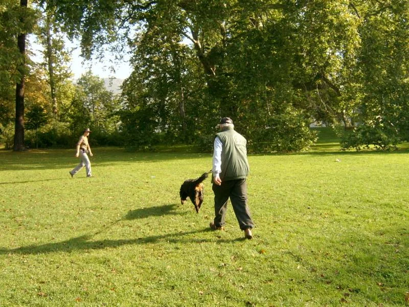 Nasenarbeit macht mir besonderen Spaß