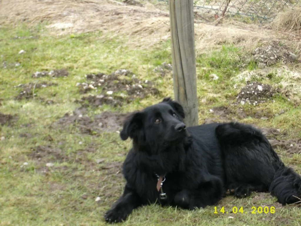 ... Nero ganz gespannt....