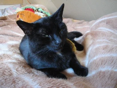 Nicht der Walter *g*