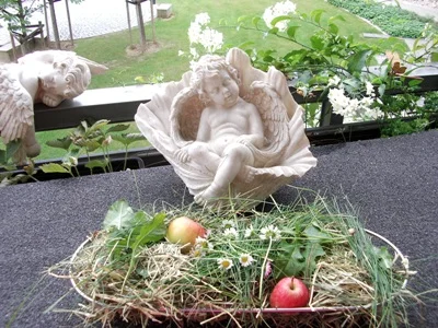 Ninchenfutter aus dem Naturgarten