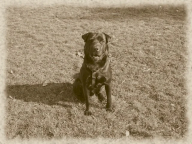 noch ein altes foto von kenai