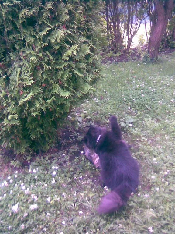 Nun bekommst du eine Ohrfeige weil du mich immer ärgerst