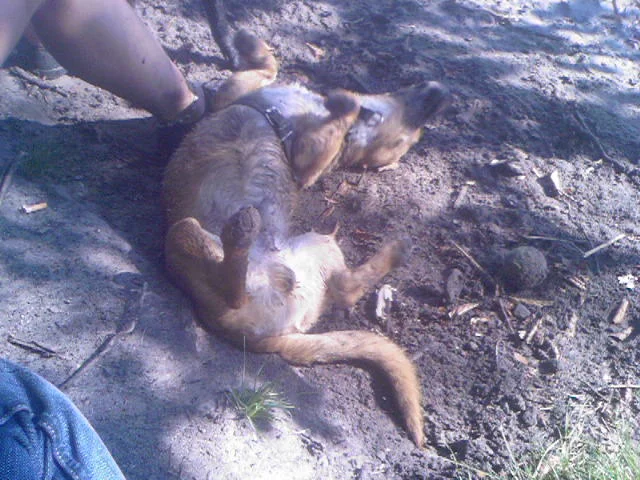 Ob sich da jemand wohl fühlt ?