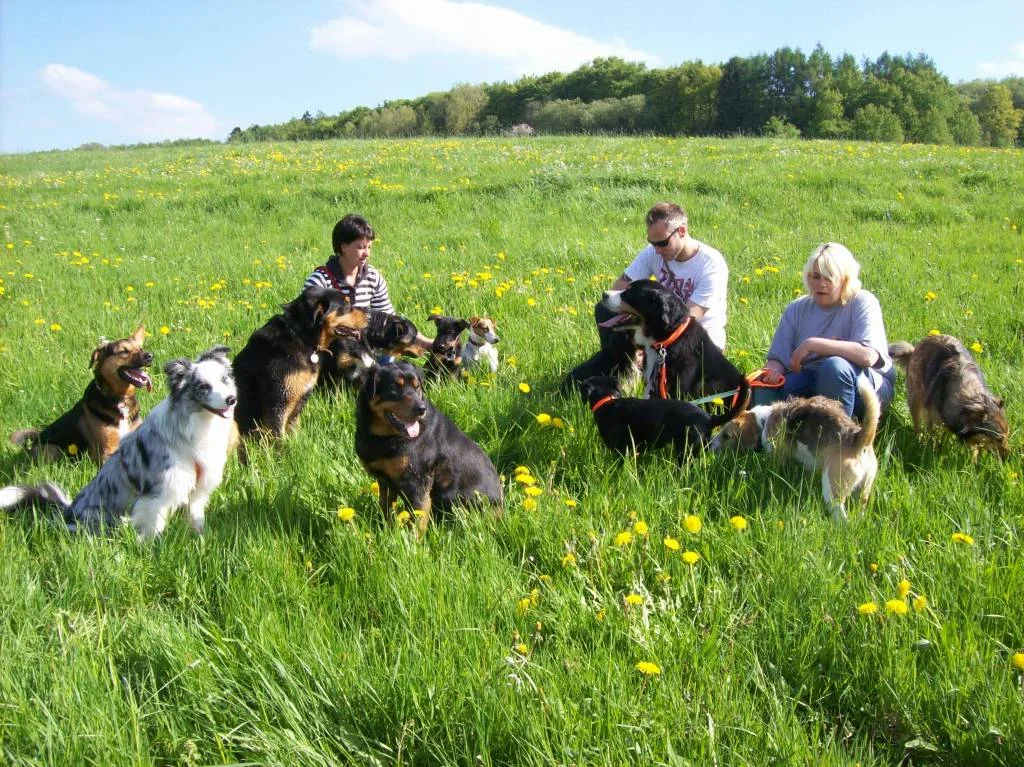 Oberbettinger Hundetreff