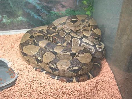 Pencil in Ruhestellung