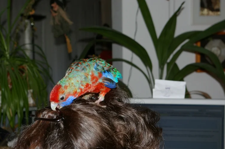 Peppy beim Knabbern :-)