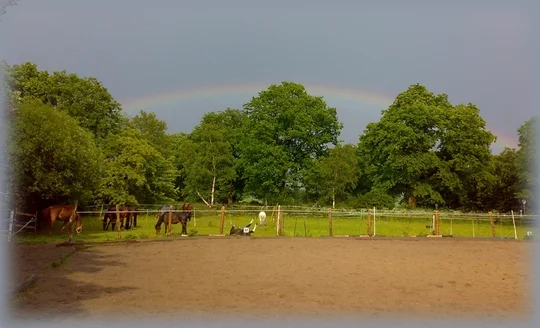 Pferde unterm Regenbogen