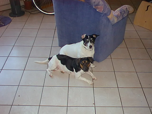 PhotoPC_Donnerstag_20_Juli_2006_1255_9