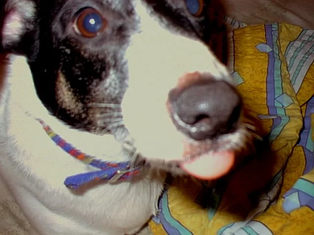 PhotoPC_Mittwoch_3_November_2004_0601_18