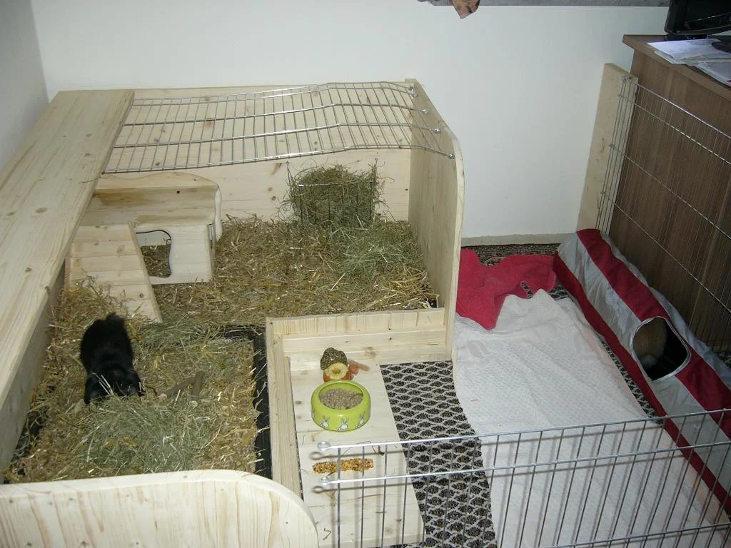 Pia und Paul - deren Reich!