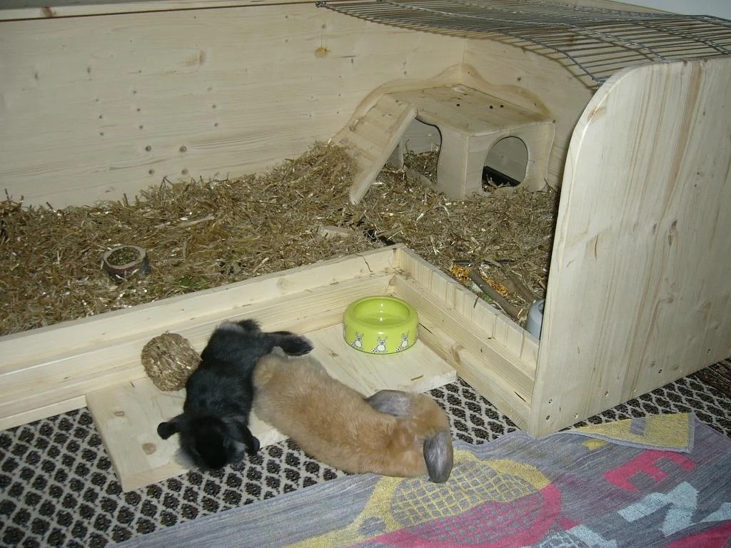 Pia und Paul Villa =)