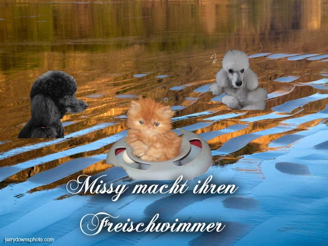 Pizap.com14354174556361