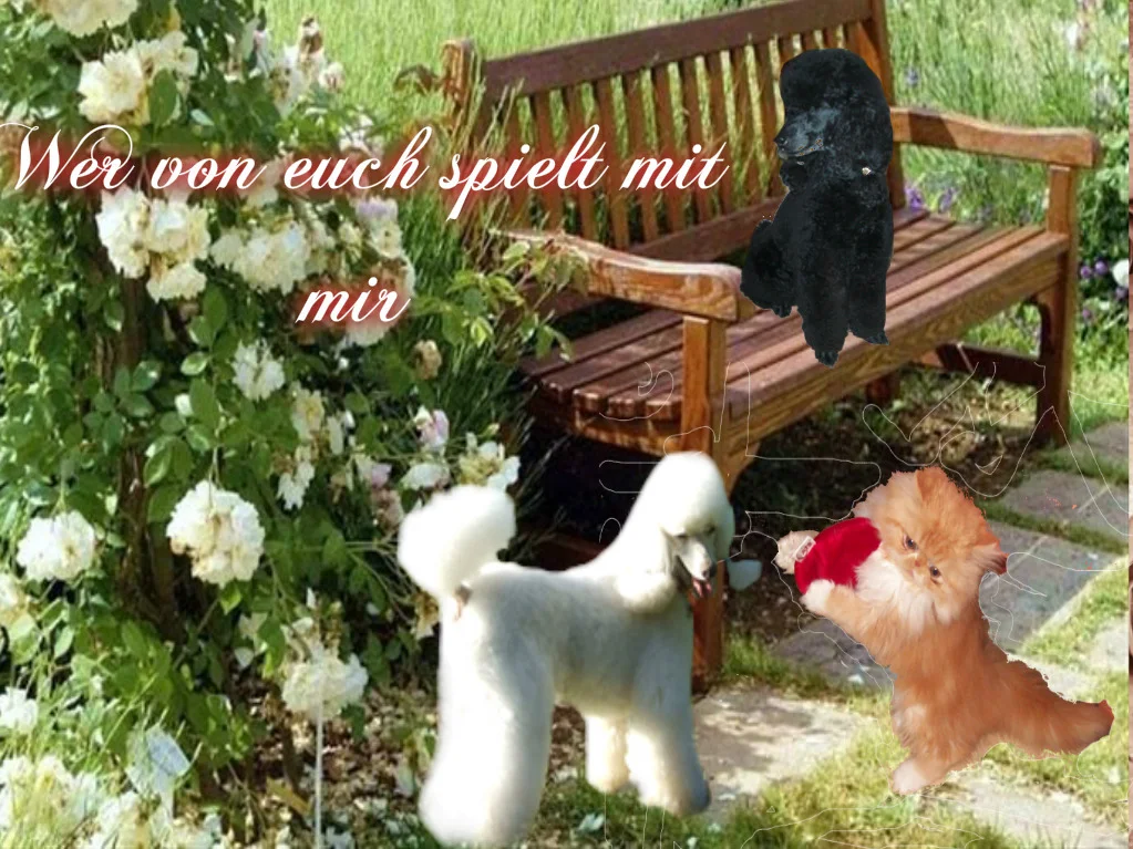 Pizap.com14354846431382