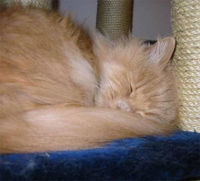 Platz ist in der kleinsten Hütte...