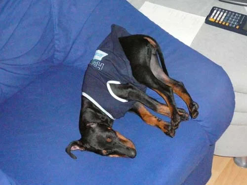 Popo in die Höh.jpg