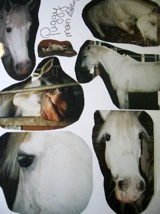 Puggy&Hrina&Blesa 001.jpg