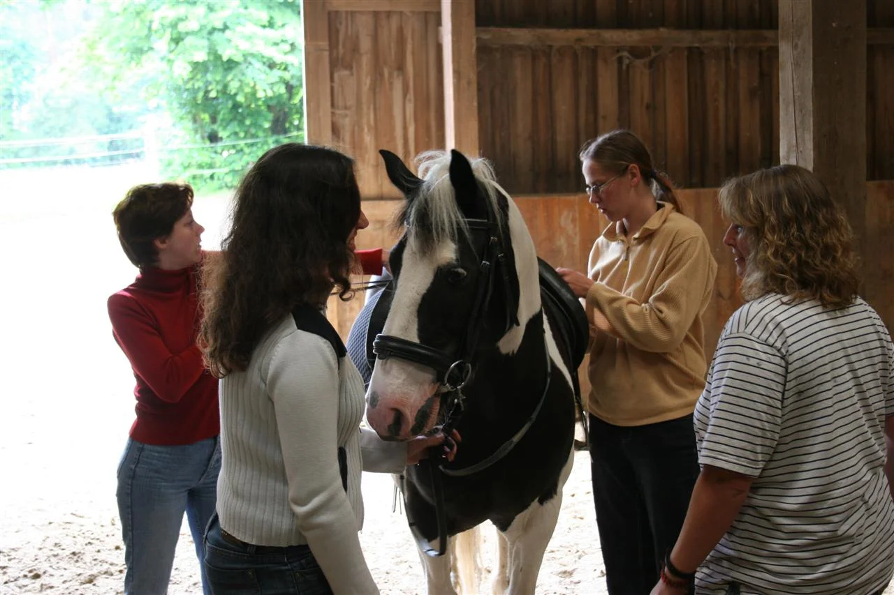 rangshof_ela besuchen (43) (Custom).jpg